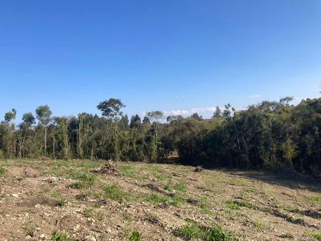 Chácara de 2 alqueires a 12 km da cidade - Foto 2