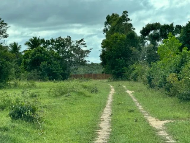 Vendo lindo sitio na praia de Cumuruxatiba !