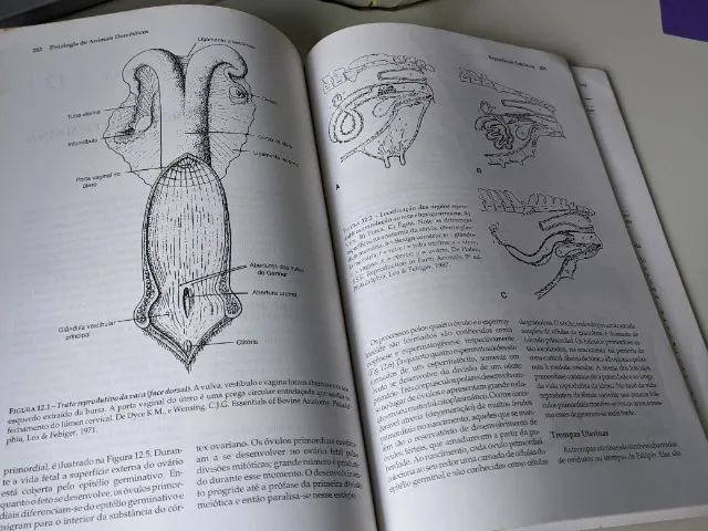 Livro - Fisiologia de Animais Domésticos - Foto 2