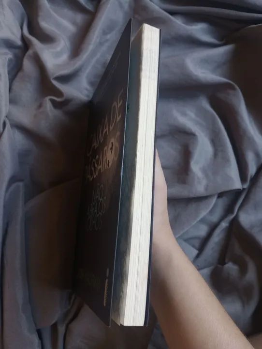 Caixa de Pássaros - Josh Malerman - Foto 3