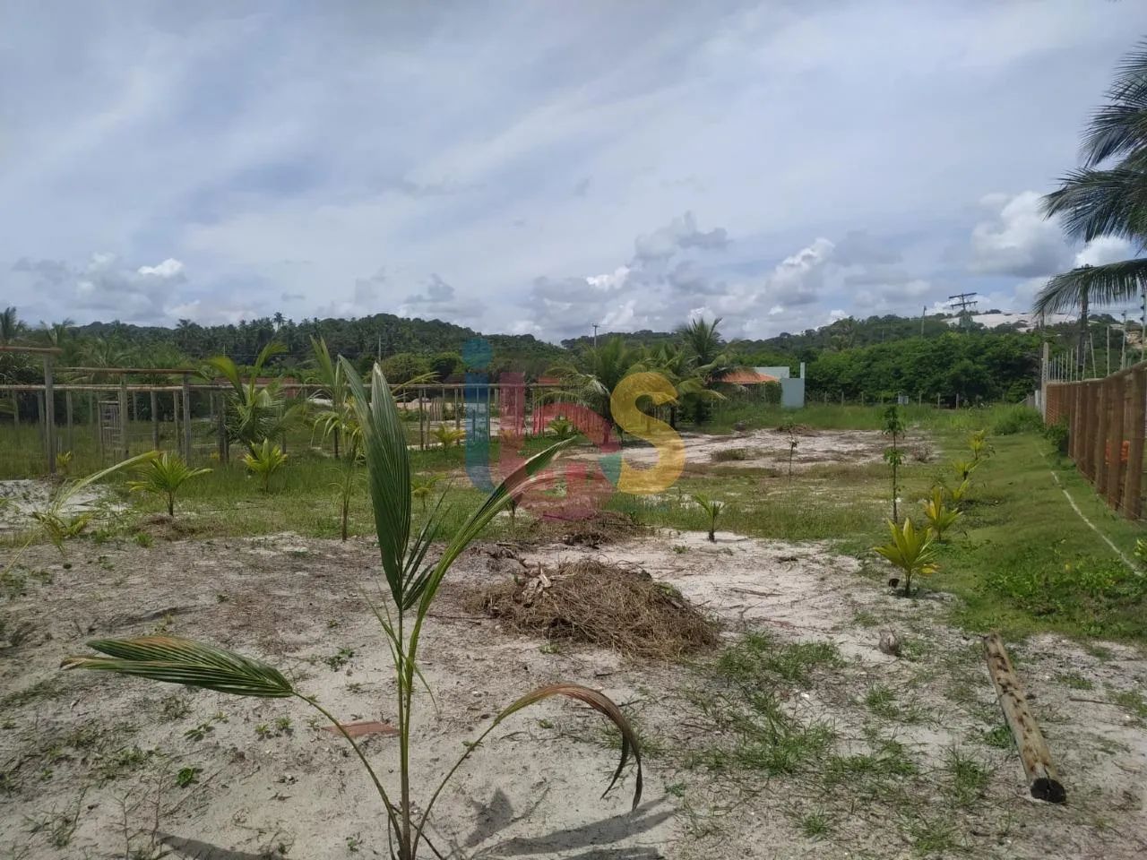 Lote no Sirihyba III - Foto 4
