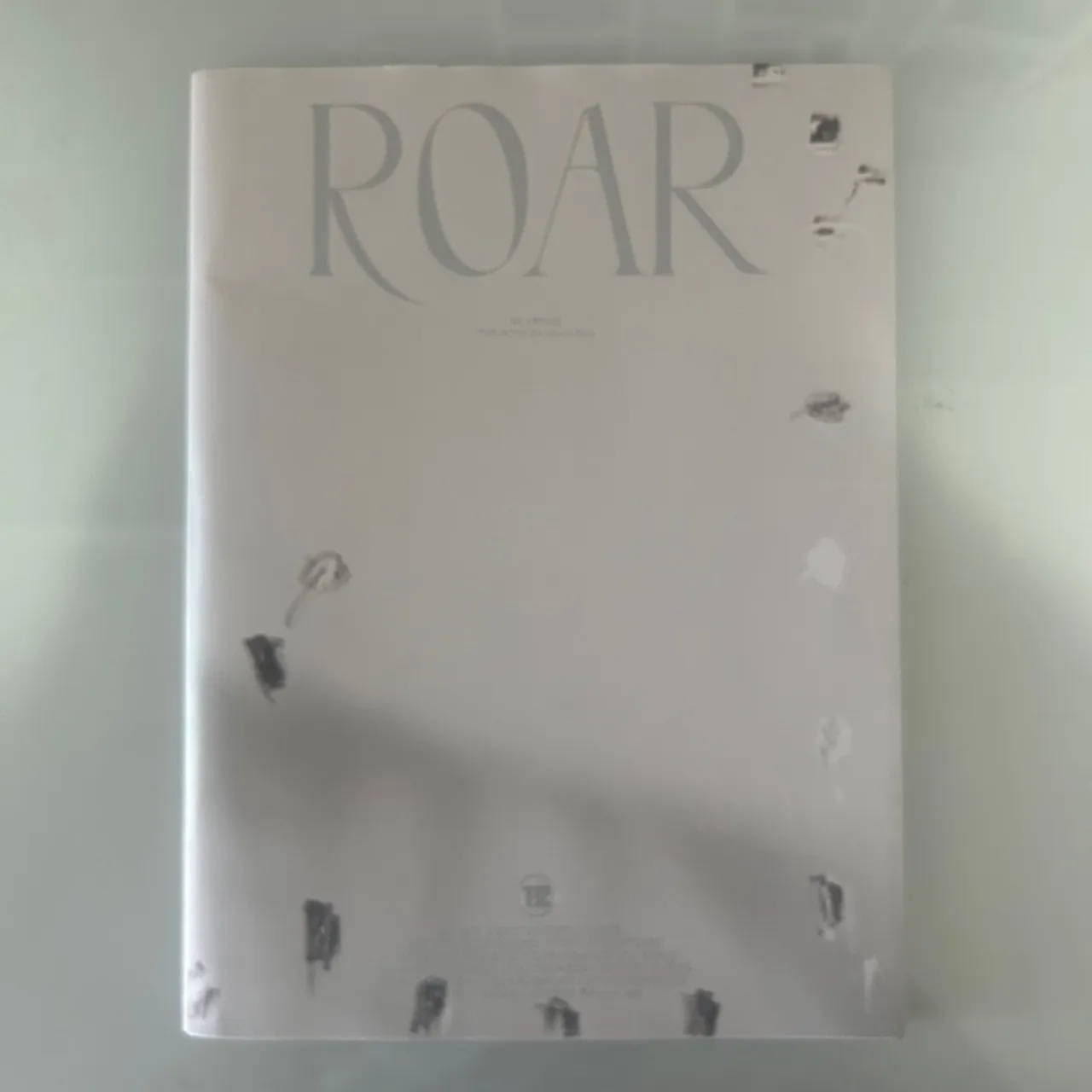 The Boyz Roar