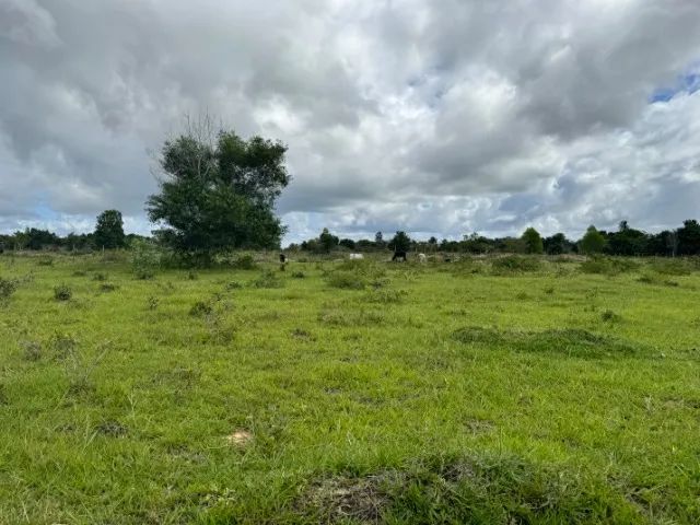 Vendo lindo sitio na praia de Cumuruxatiba ! - Foto 3