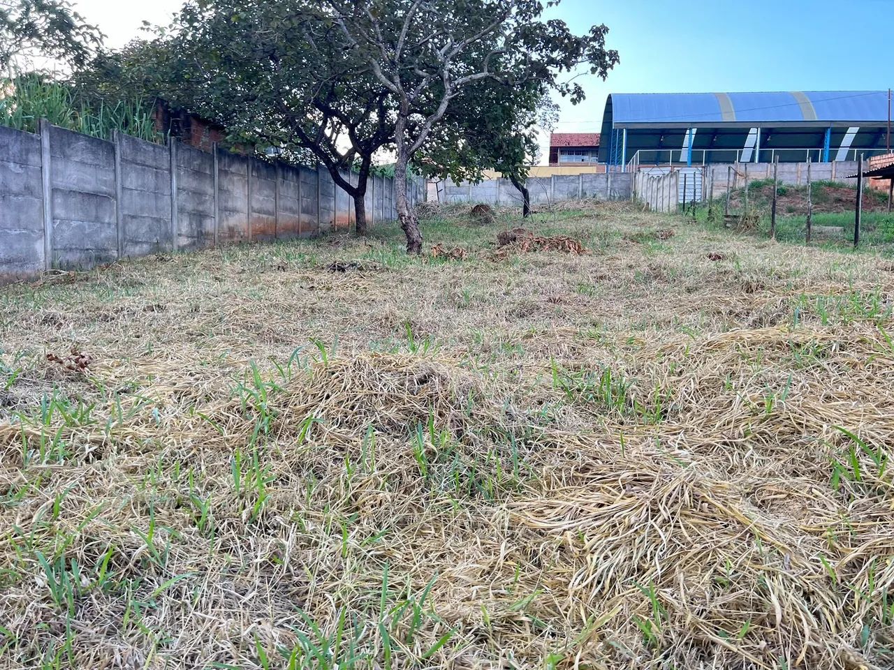 Lotes de 492 mts em mateus leme  - Foto 2