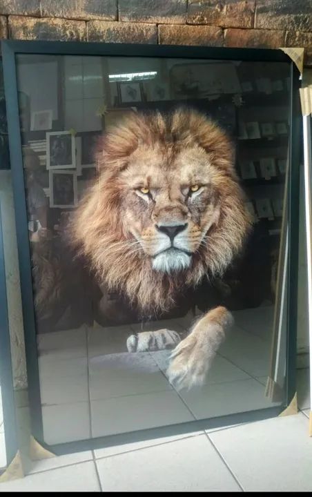 Promoção Quadro decorativo Grande 1.15 x 85 - Foto 3