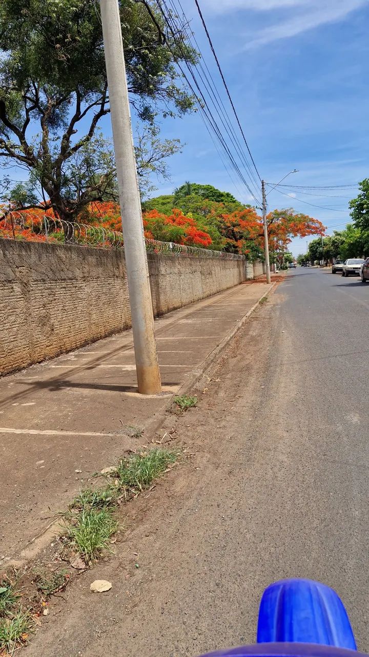 Foto - Barretos - Pimenta