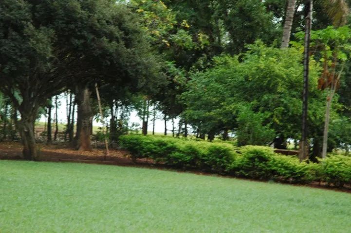 VENDO RANCHO REPRESA DE FURNAS PÉ NA ÁGUA * - Foto 2