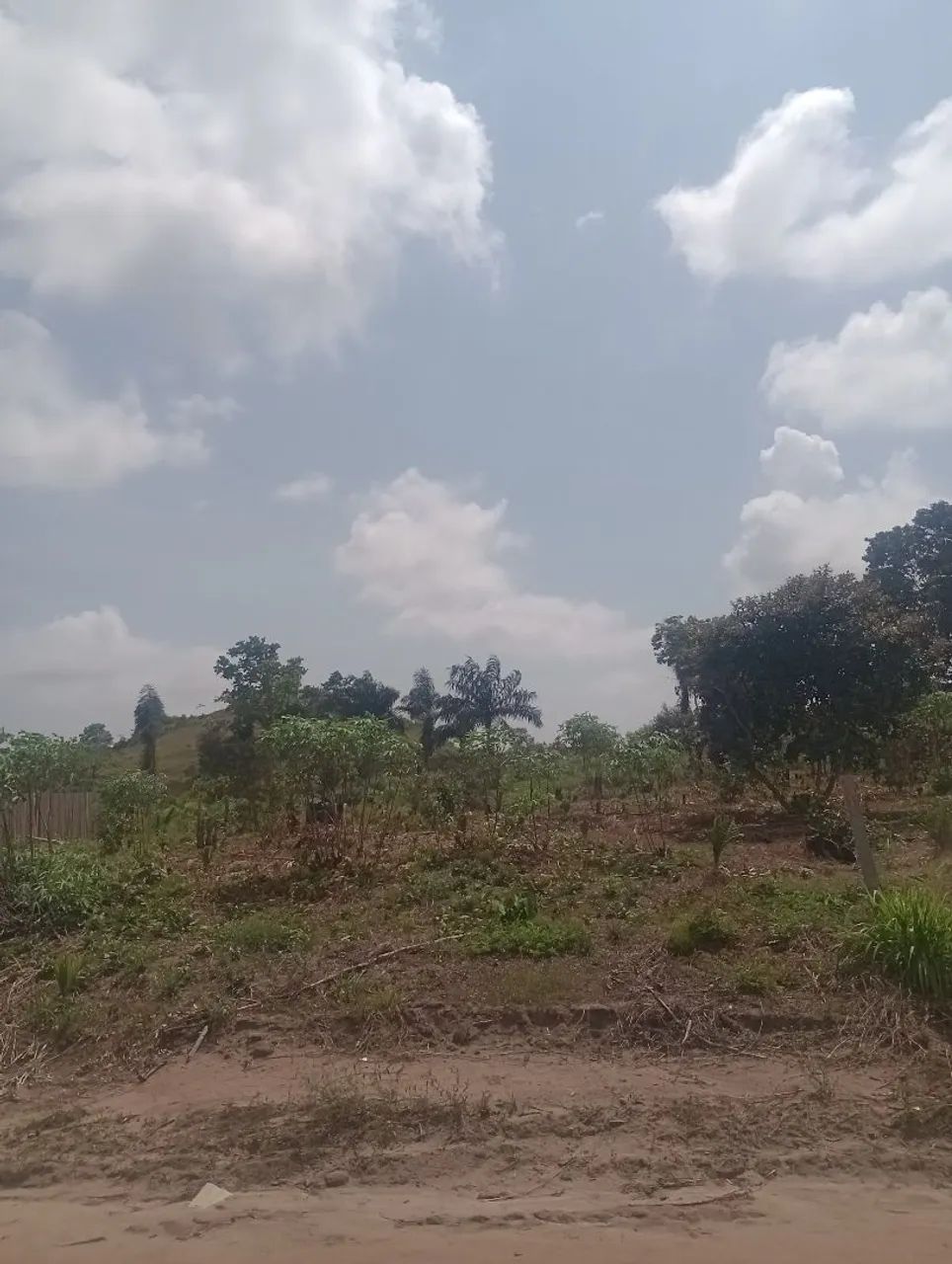 Terr Espírito Santo  - Foto 3