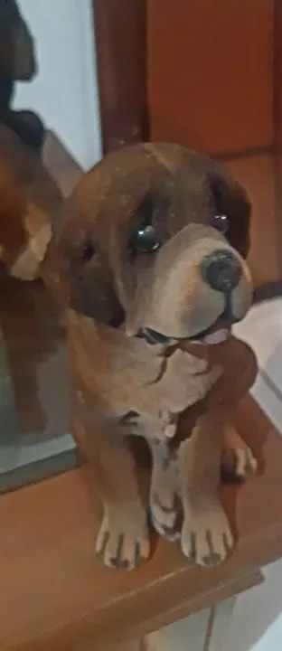 Coleção de 207 Cachorrinhos - Foto 4