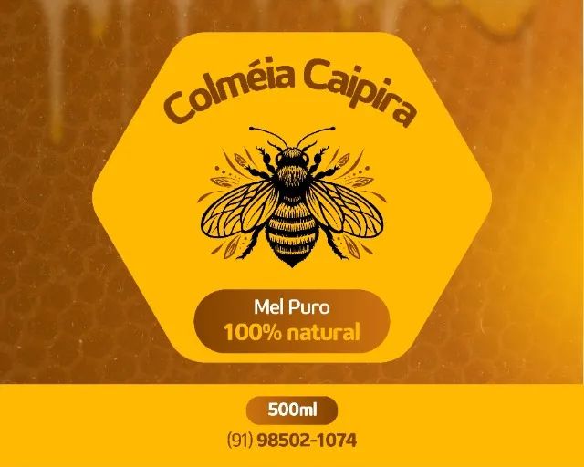 Mel Puro Colméia Caipira - 100% Natural - Direto do Produtor 