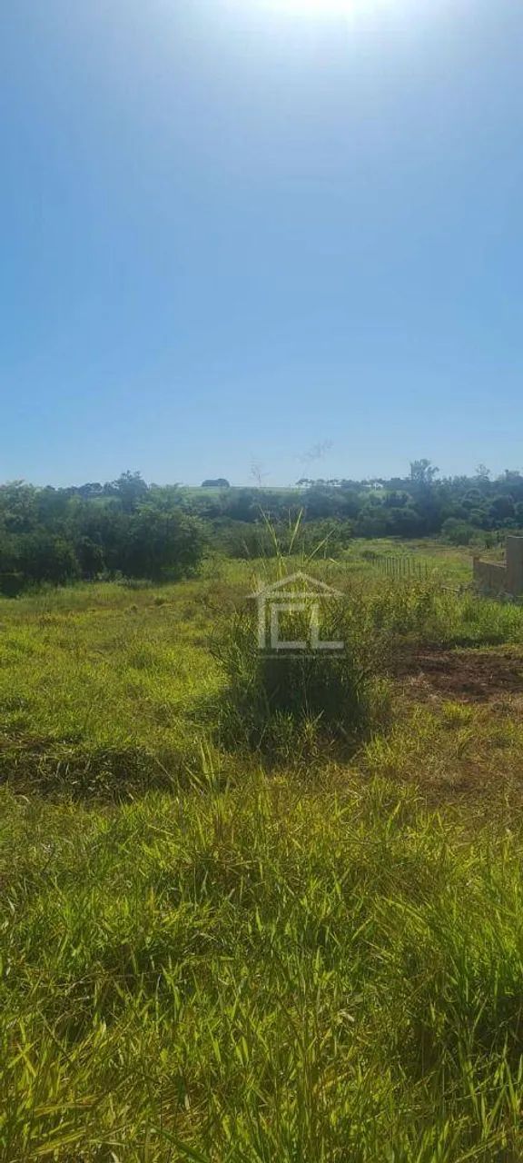 Chácara à venda, 4250 m² por R$ 370.000,00 - Centro - Jataizinho/PR - Foto 4