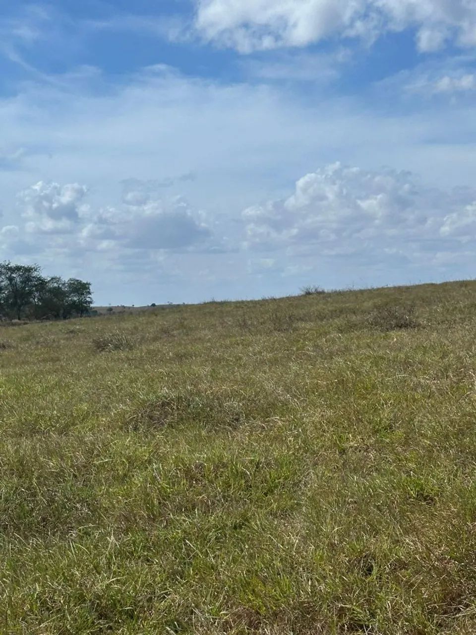 Foto - Itabaiana - Marianga