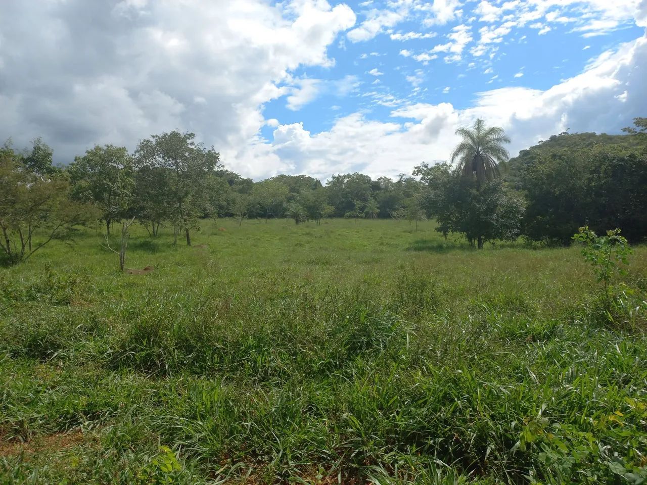 Terreno 40 hectares com córrego  - Foto 2