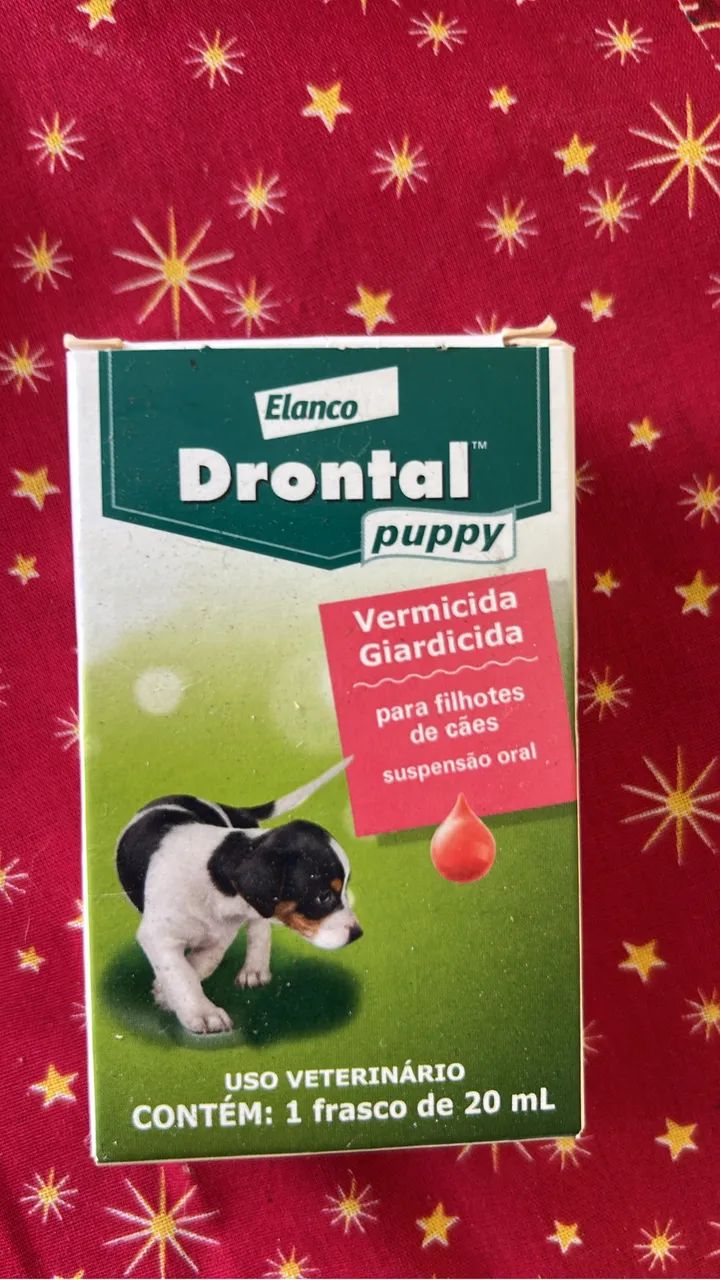 FILHOTES DE SHIH TZU TRICOLOR - LINHAGEM NOBRE - Foto 5