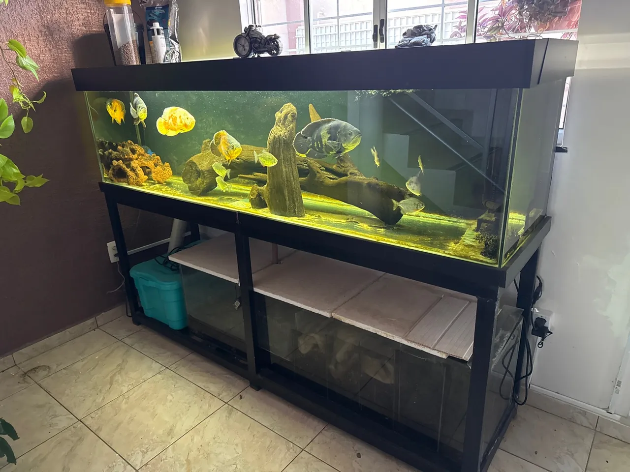 Aquario 2 metros - Aceito Troca