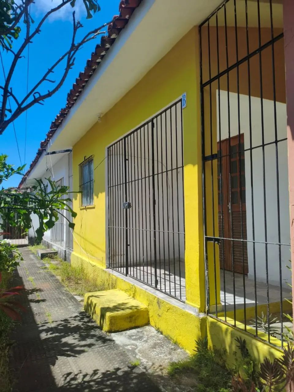 Foto - Paulista - Pau Amarelo