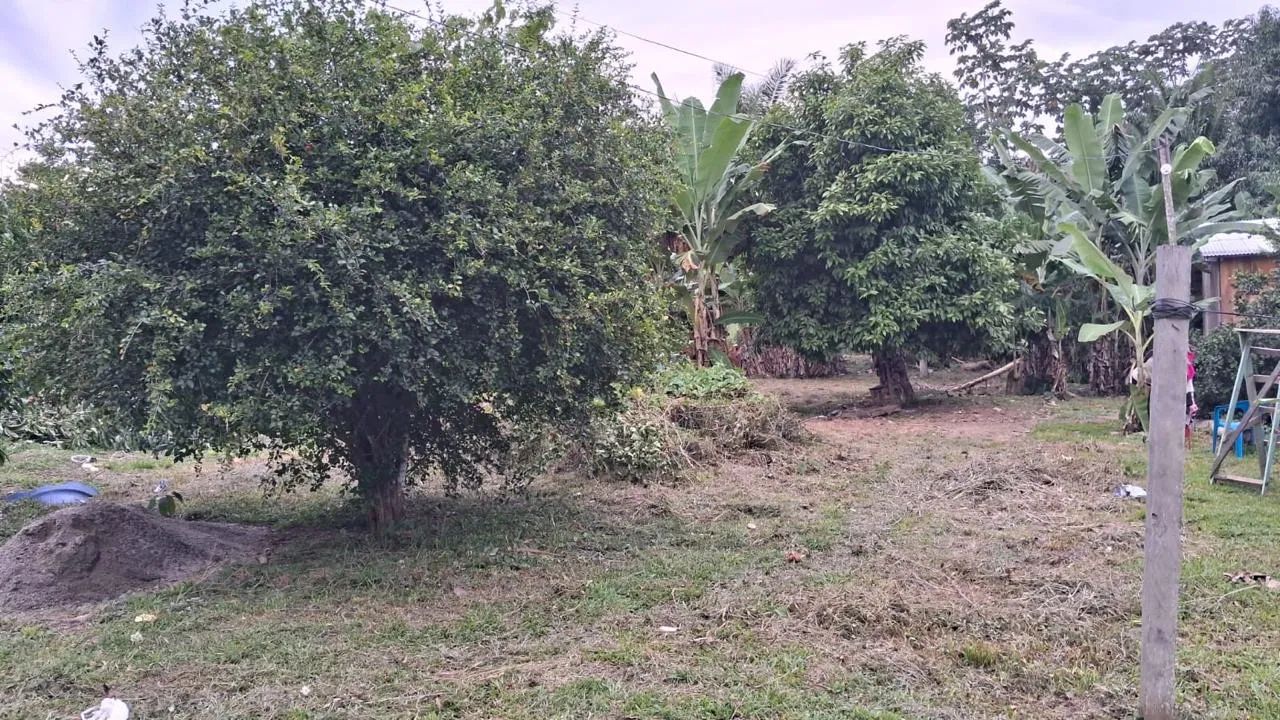 Vendo terreno 10x40 Apolônio Sales, aceito proposta - Foto 2