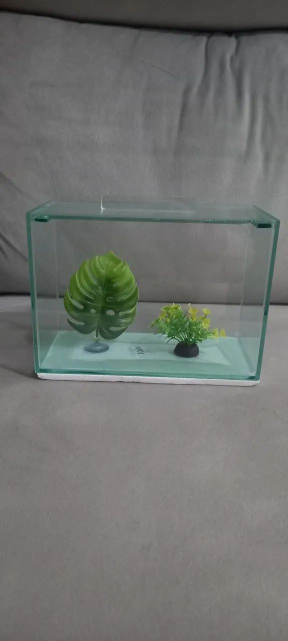 Aquário com acessórios - Foto 2