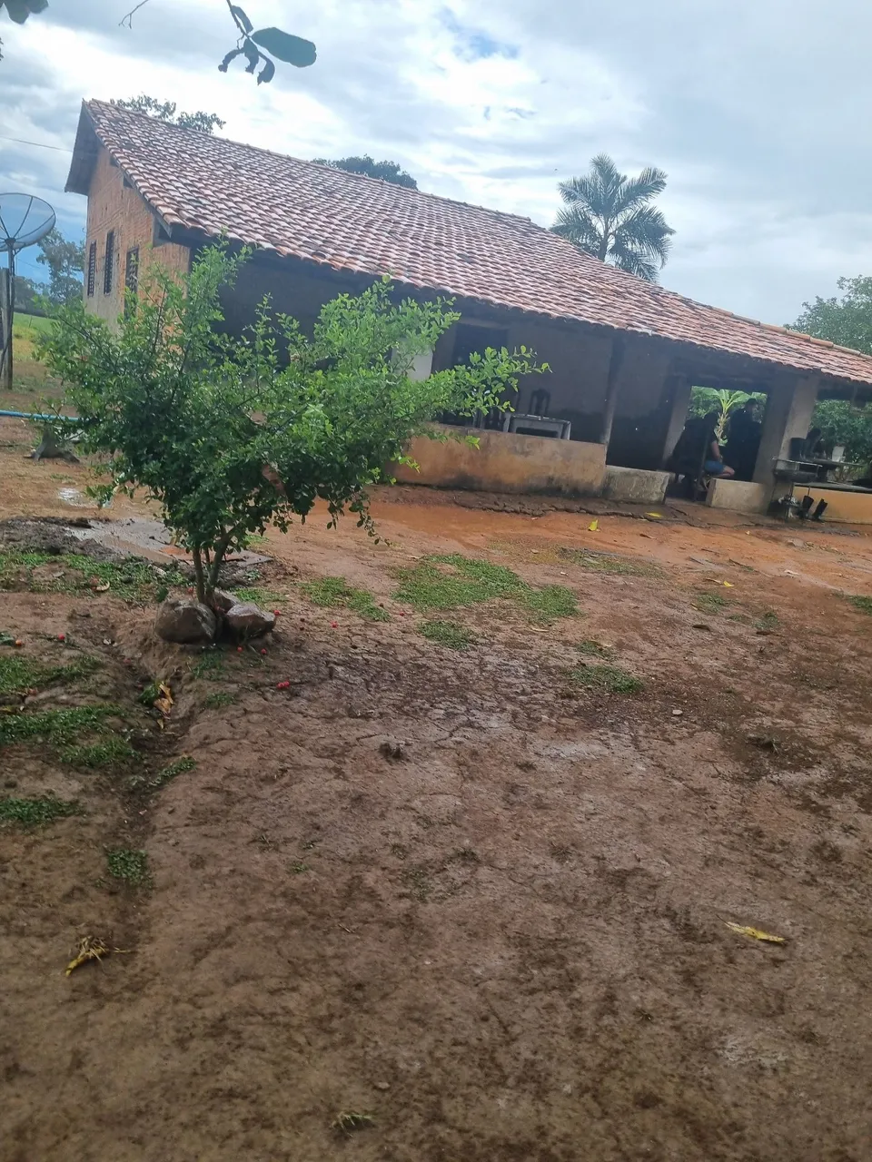 Sitio 38 hectares valor 650.000 margeado pelo rio Paraná