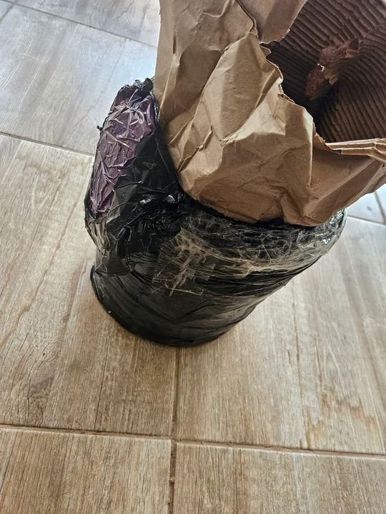 Cerca Concertina Ouriço Simples 30cm 30 Metros - Foto 3