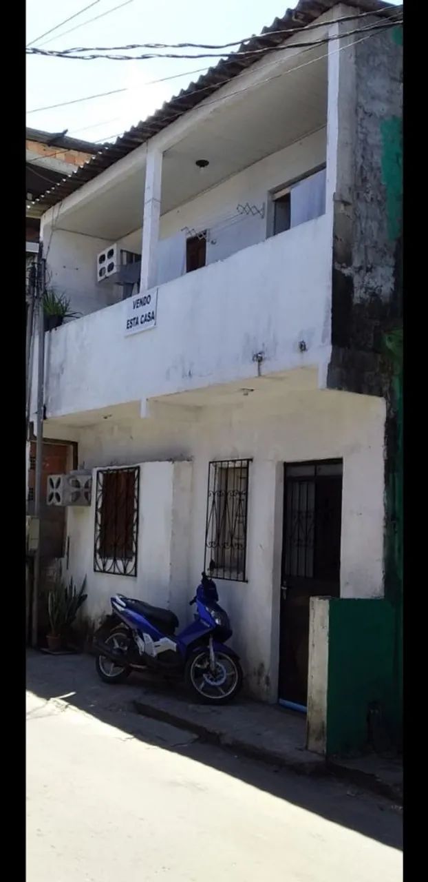 Foto - Manaus - Raiz