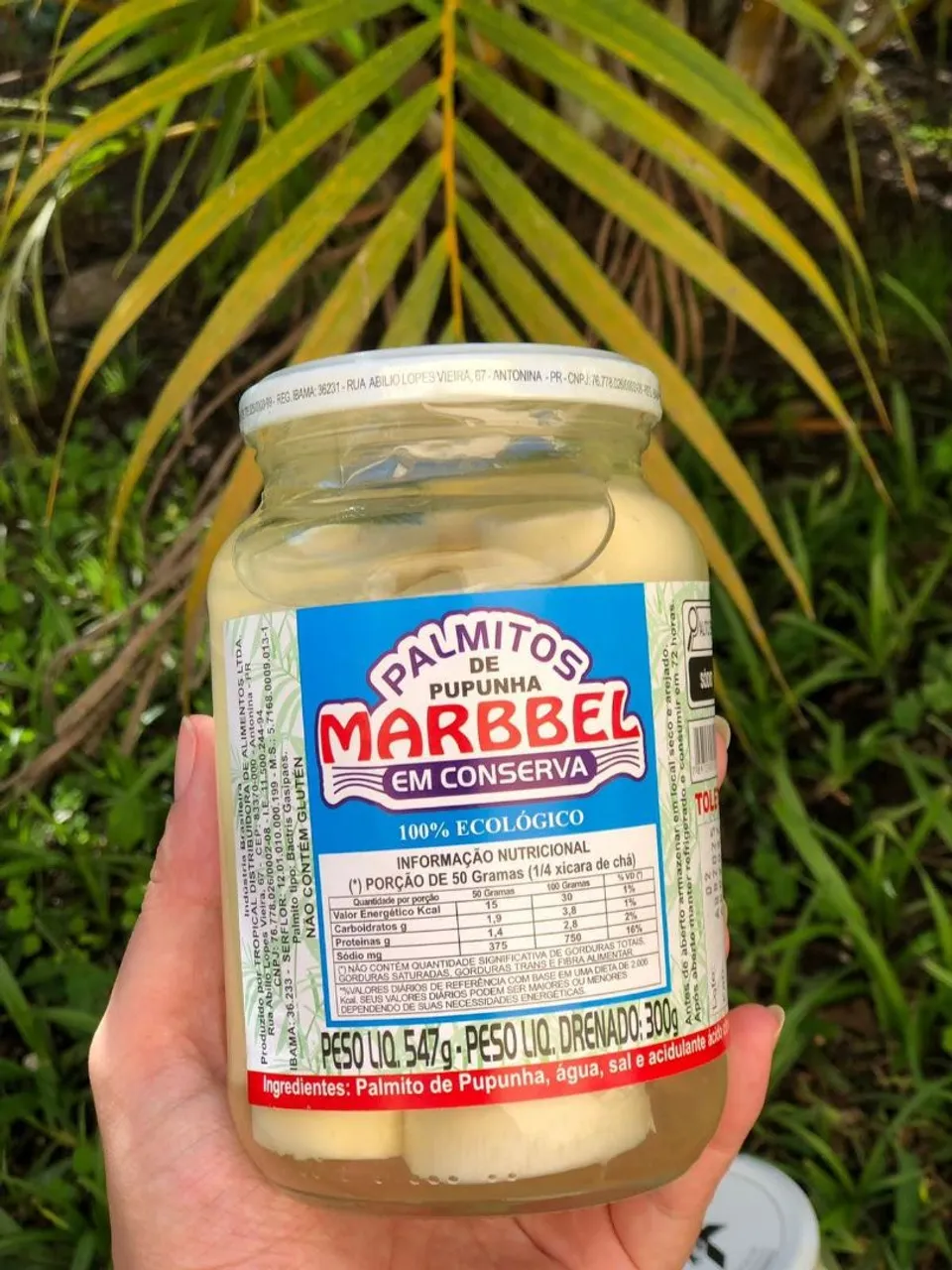 Palmito Pupunha Marbbel em Conserva - 547g