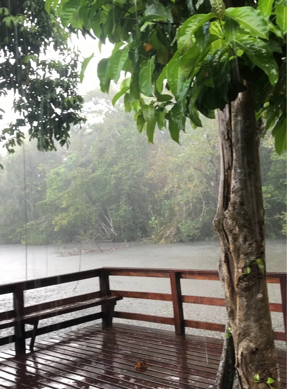 Terreno no Ariri