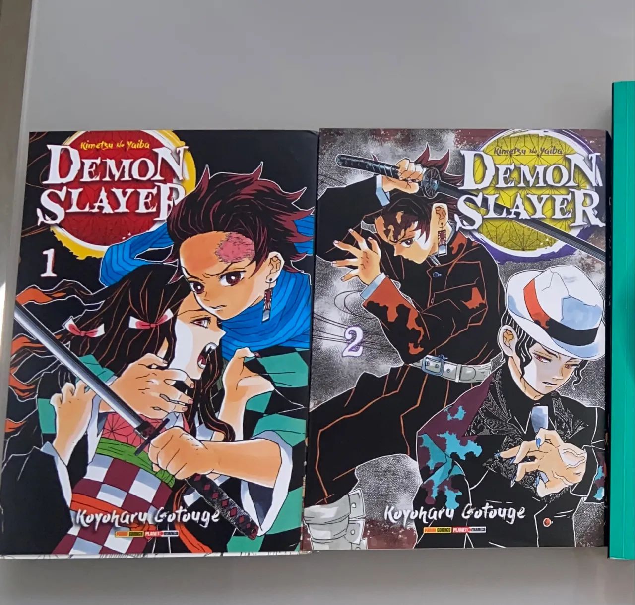 mangá demon slayer volume 1 e 2