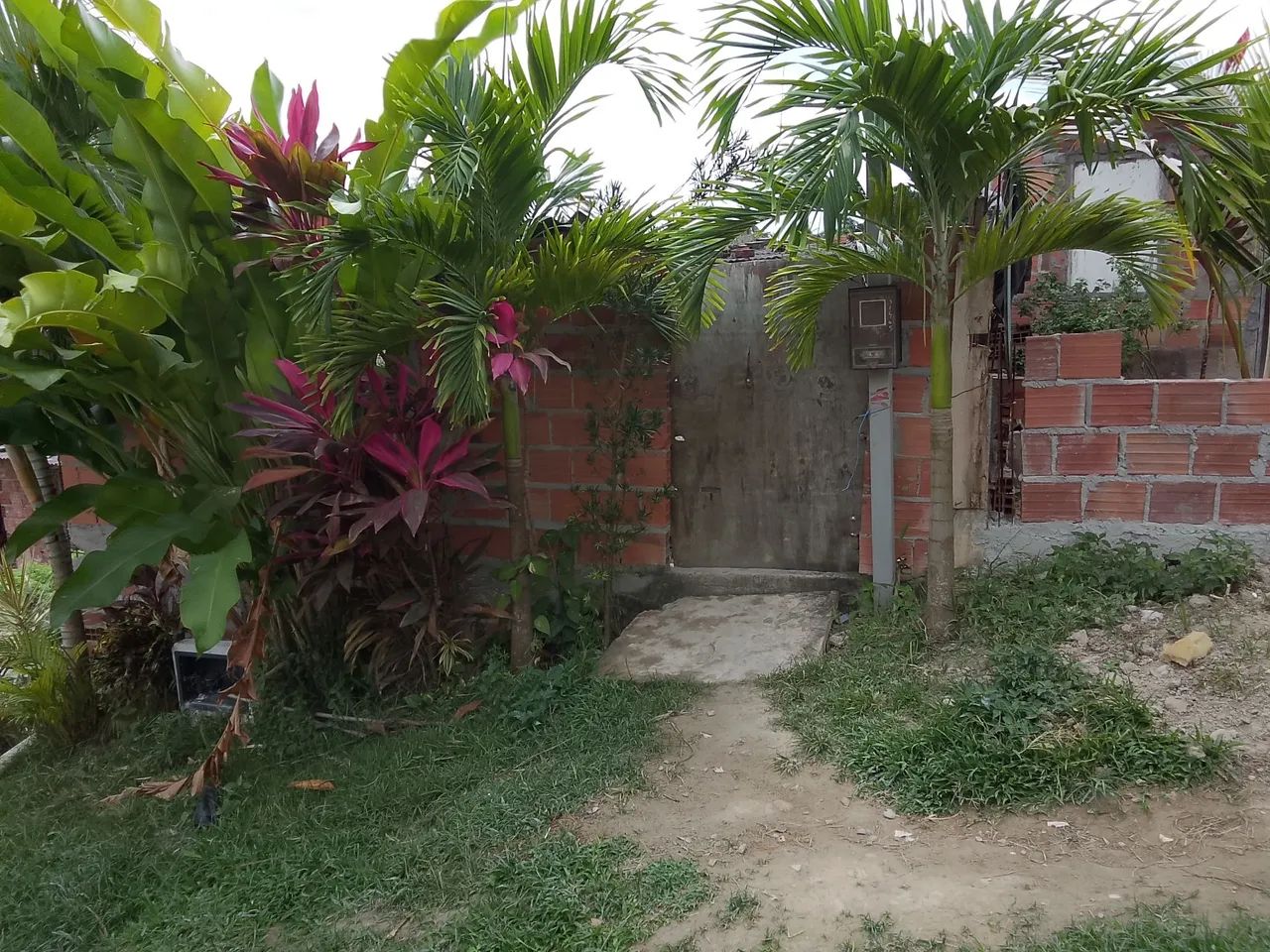 Terreno  - Foto 2