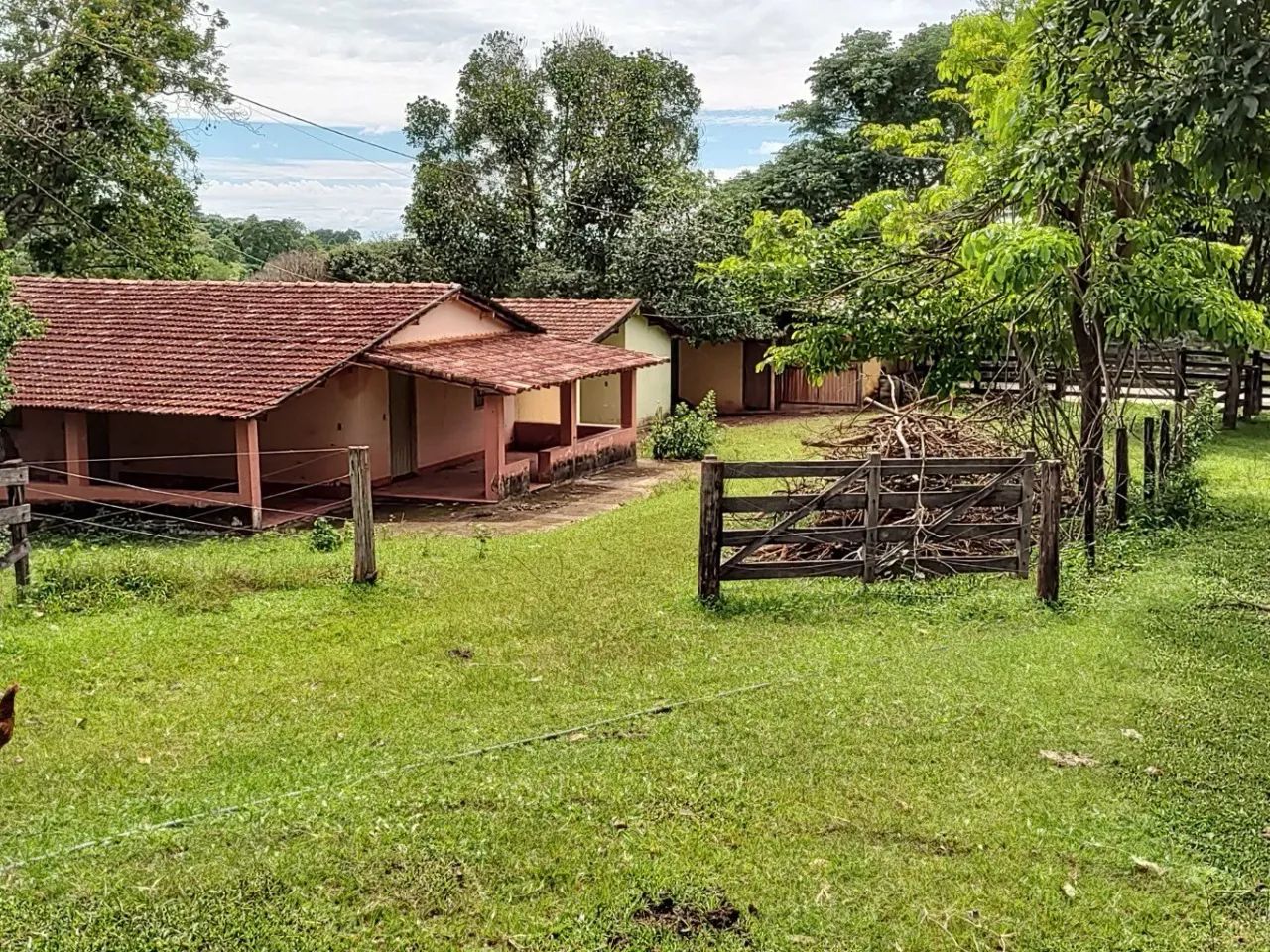 Fazenda Extra - Dupla Aptidão! - Foto 4