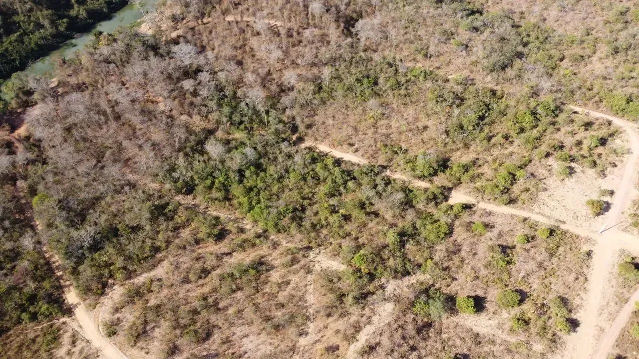 | Chácaras 2 Hectares ESCRITURADA Aceita Troca '