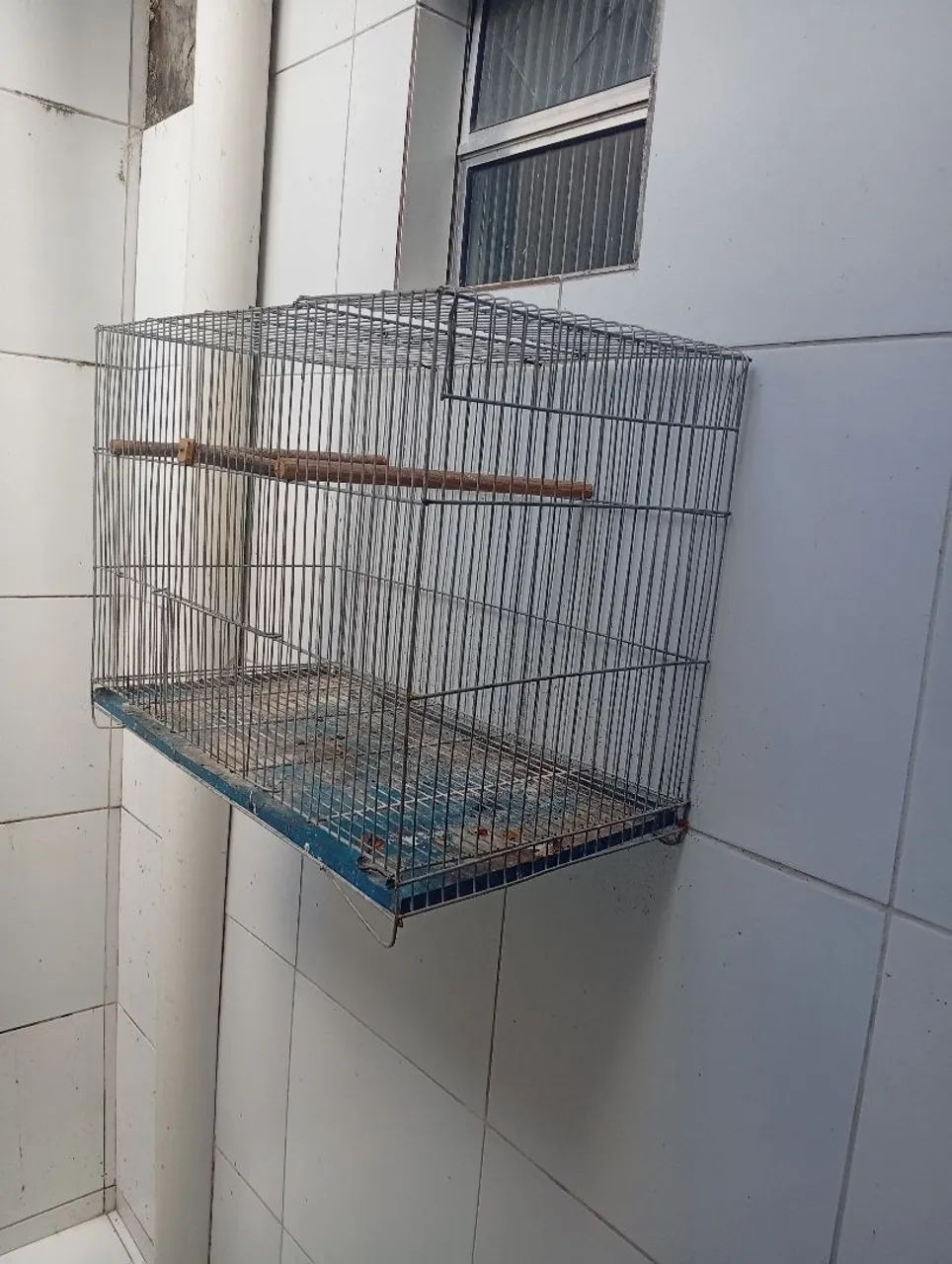 Gaiolas para agapornis