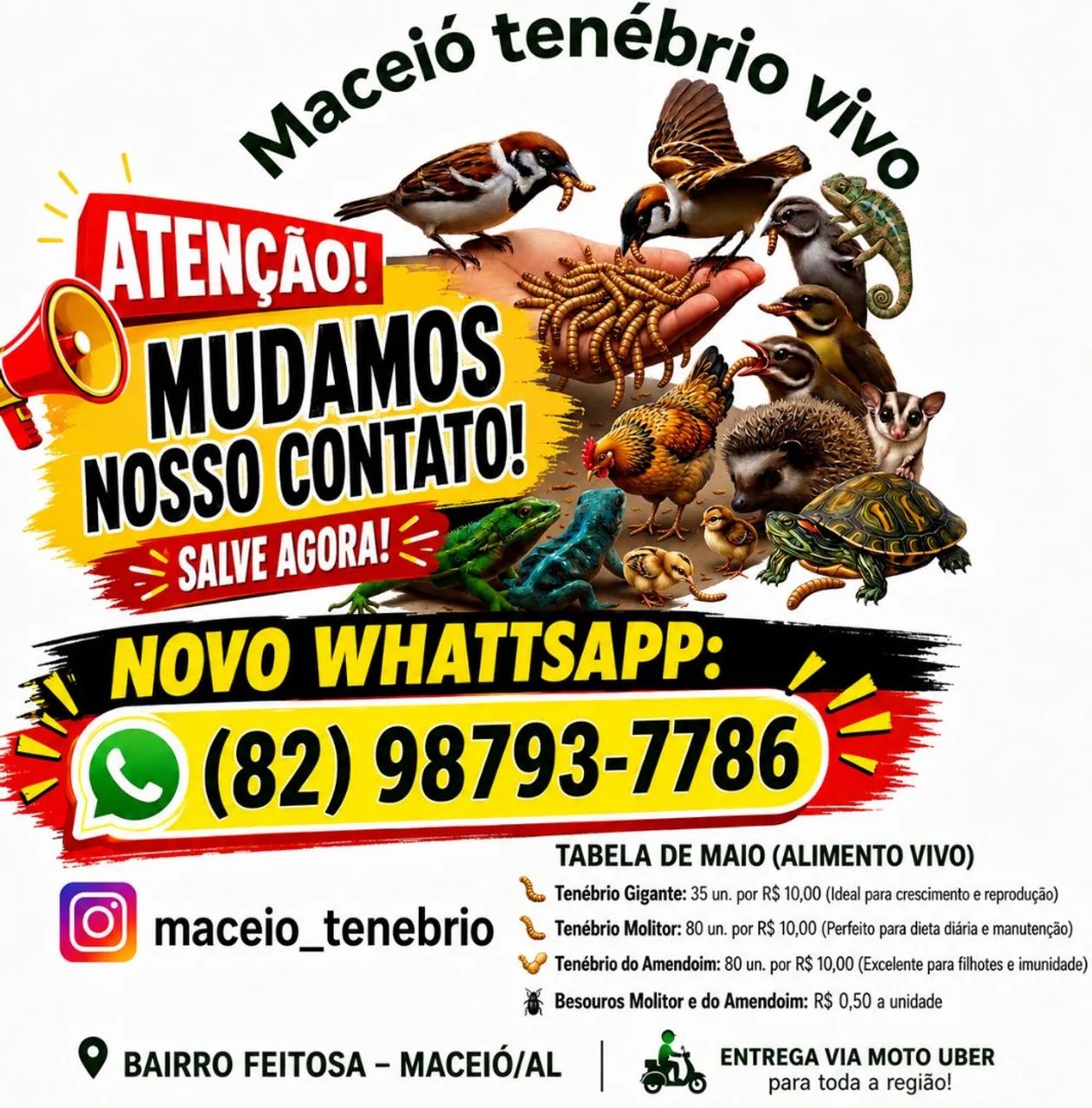 Maceio tenebrio vivos 
