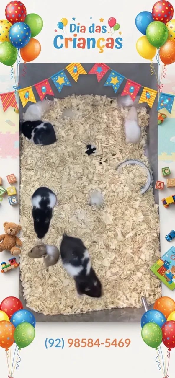 Hamster sirio
