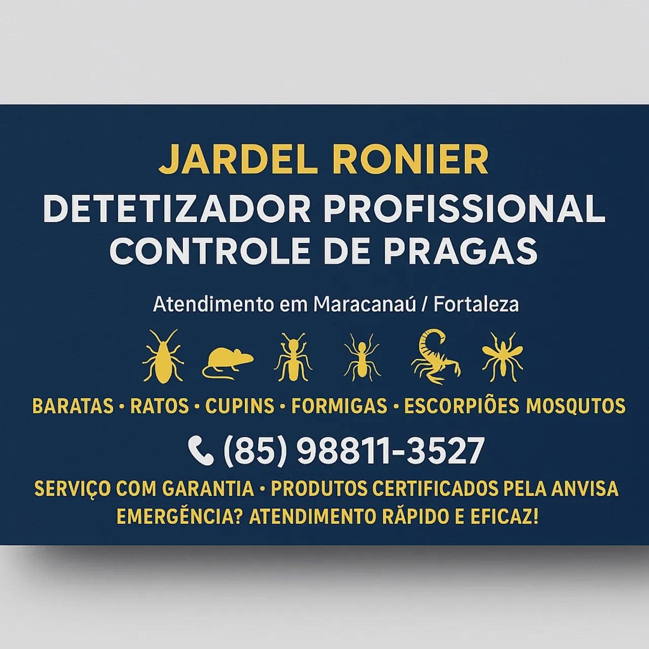 DETETIZAÇÃO POPULAR  - Foto 3