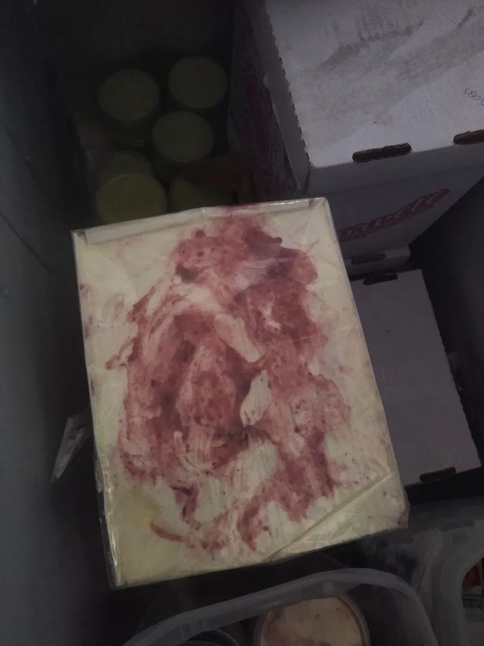 Caixa de sorvete 10L, fechada .  - Foto 4