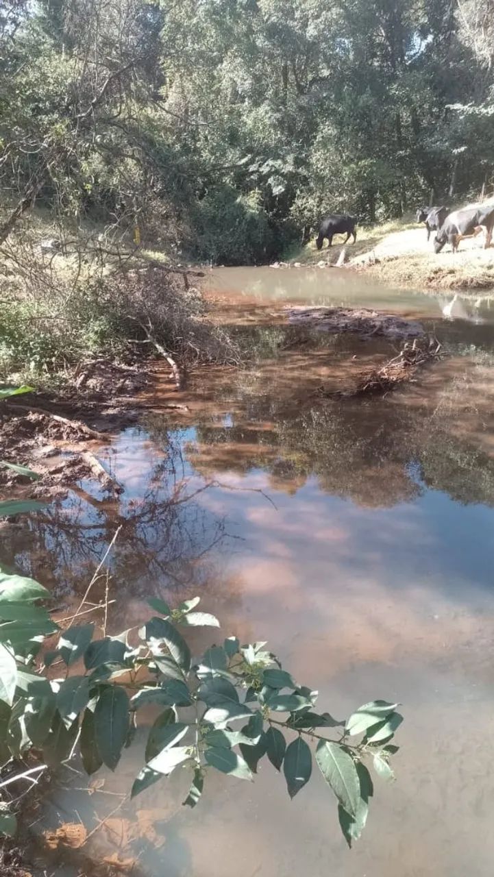 Chácara à venda top - Foto 4