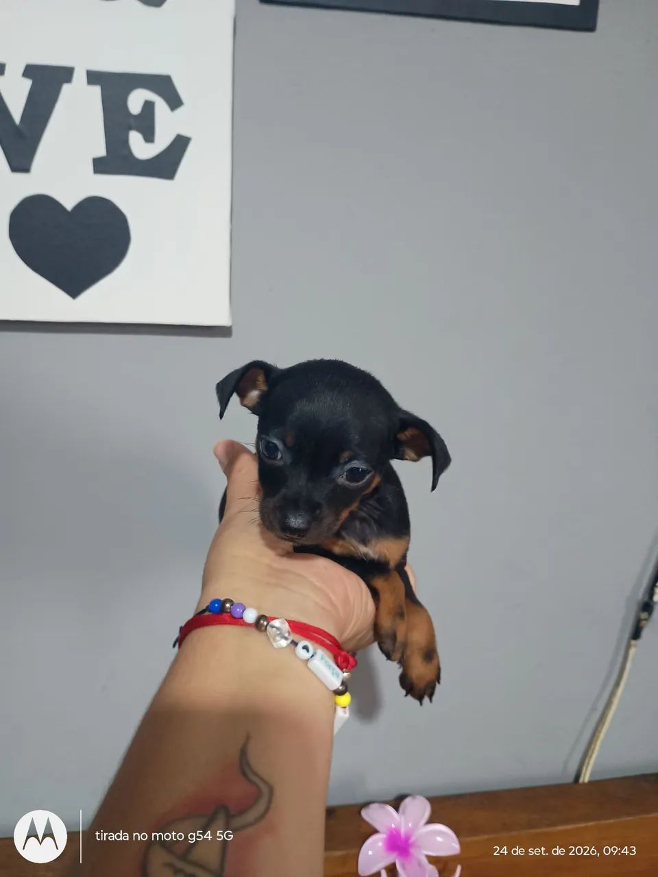 Machinho miniatura  - Foto 4