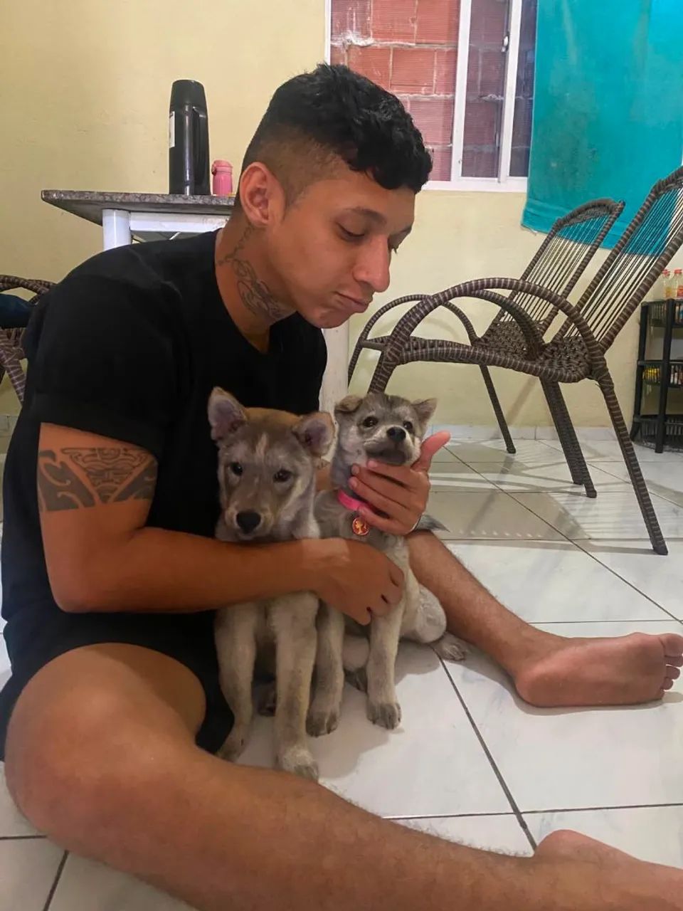 Cachorros De Raça - Foto 2