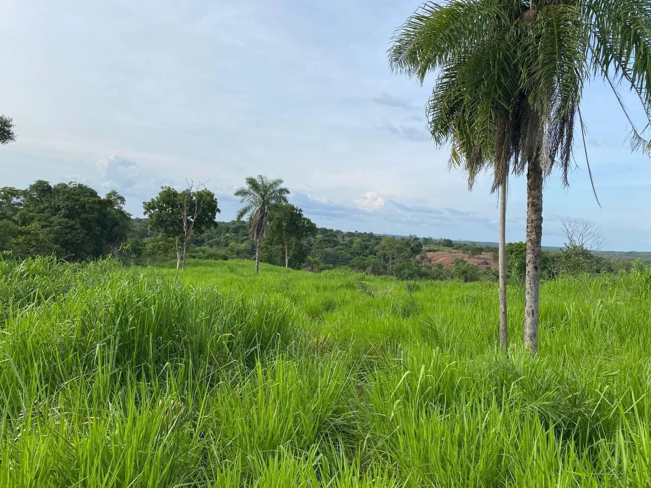 Vendo Fazendinha 10,5 alqueires Pronta!  - Foto 2