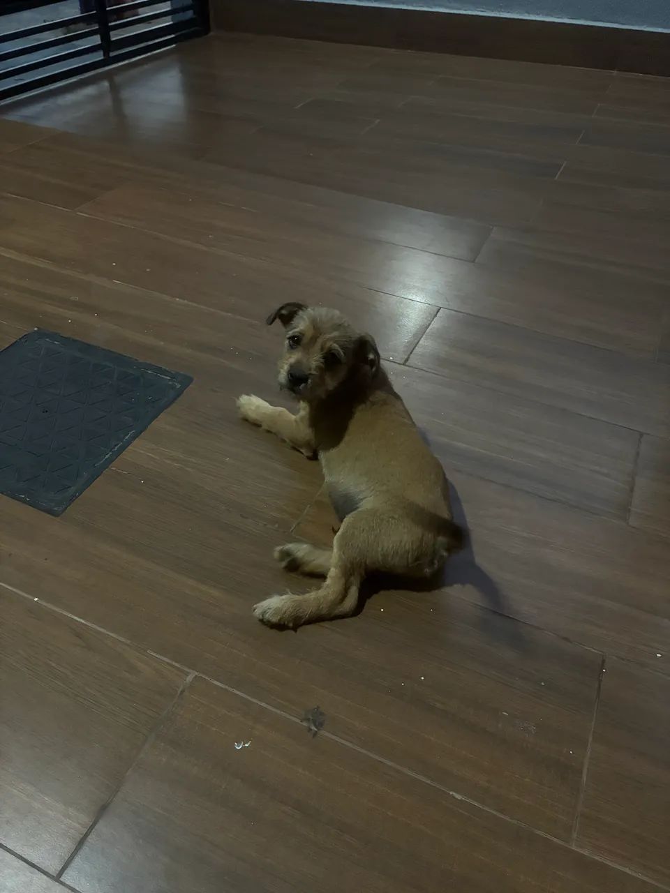 Doa-se - Foto 2
