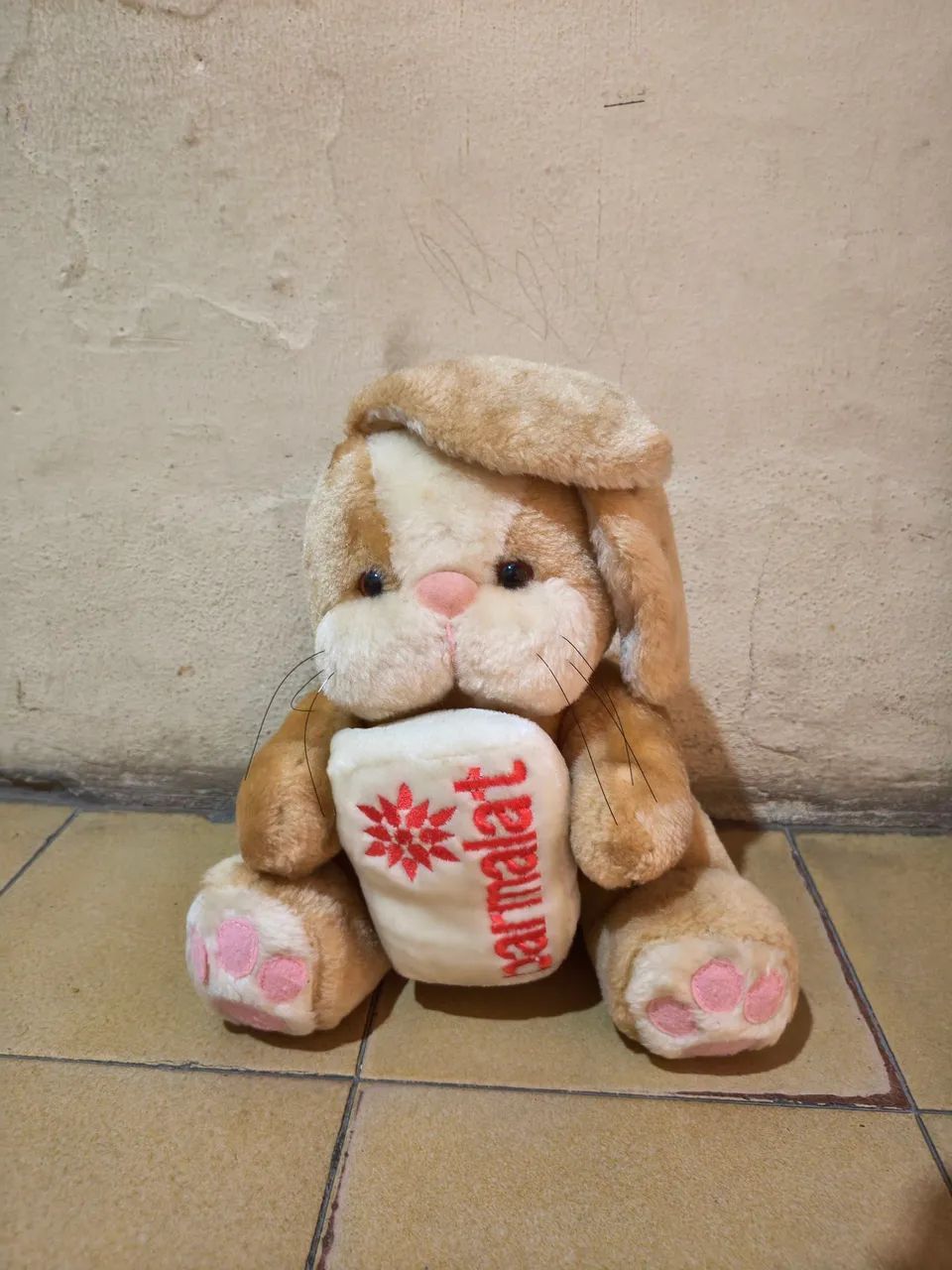 Urso Parmalat, Coelho 