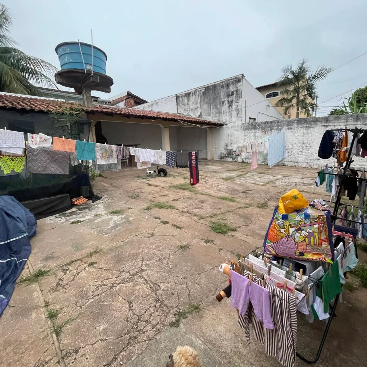 Casa a venda bairro JD Paulista - Foto 3