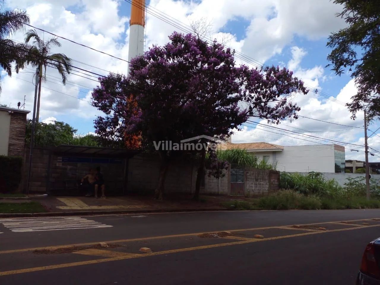 terreno - Parque Taquaral - Campinas - Foto 4