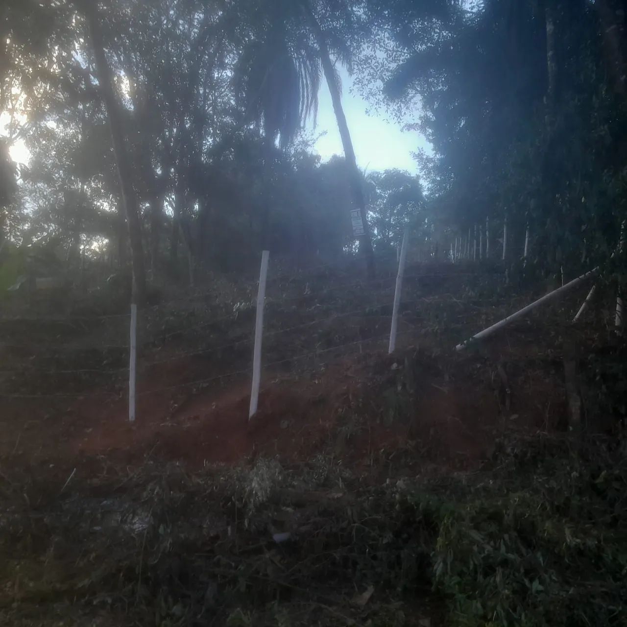 Lotes com escritura e registro  - Foto 5
