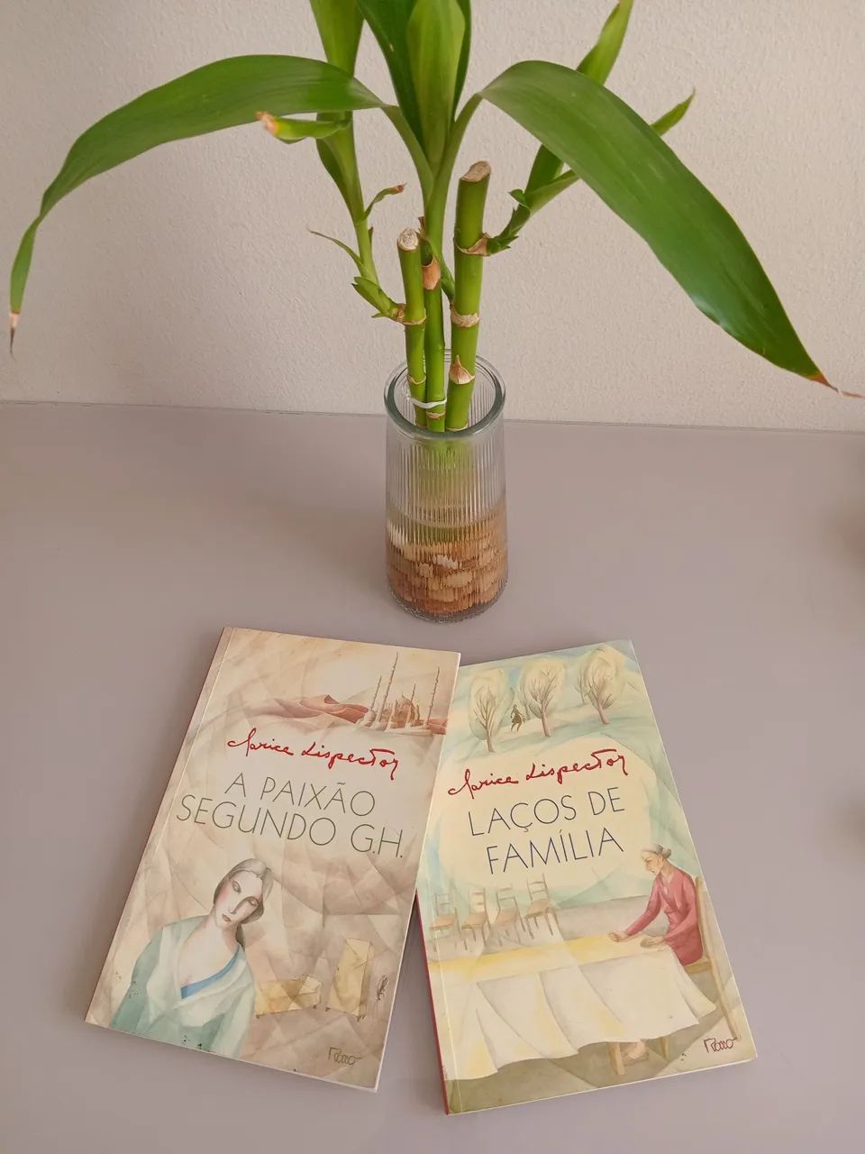 Livros de Clarice Lispector 