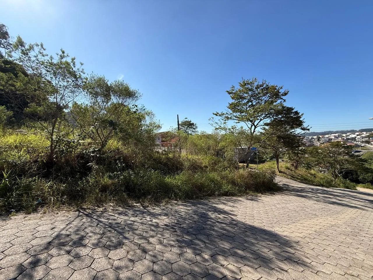 Lote / Terreno em Forquilhas - São José - Foto 4