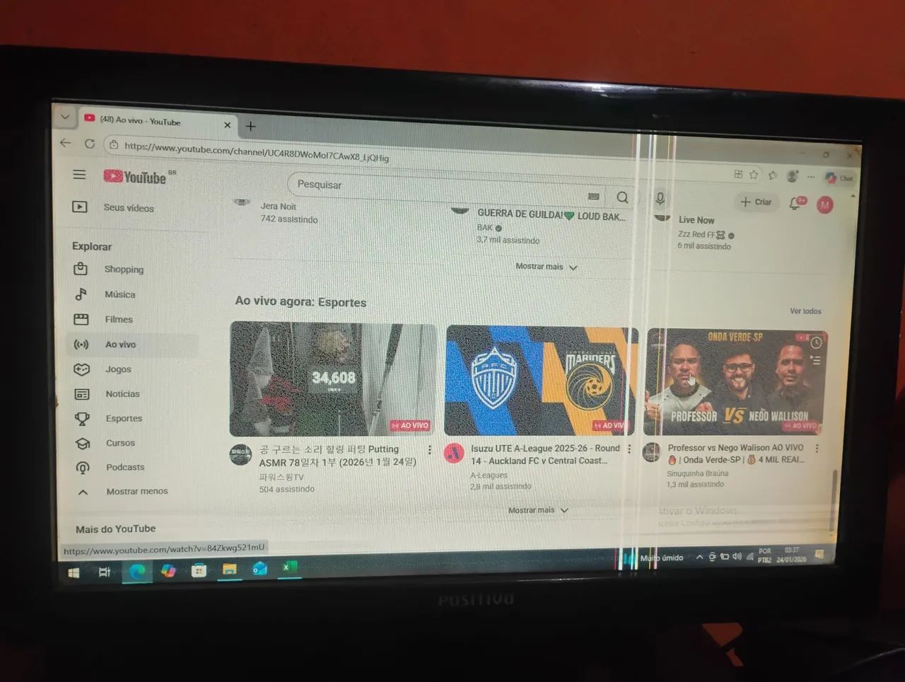 Monitor usado