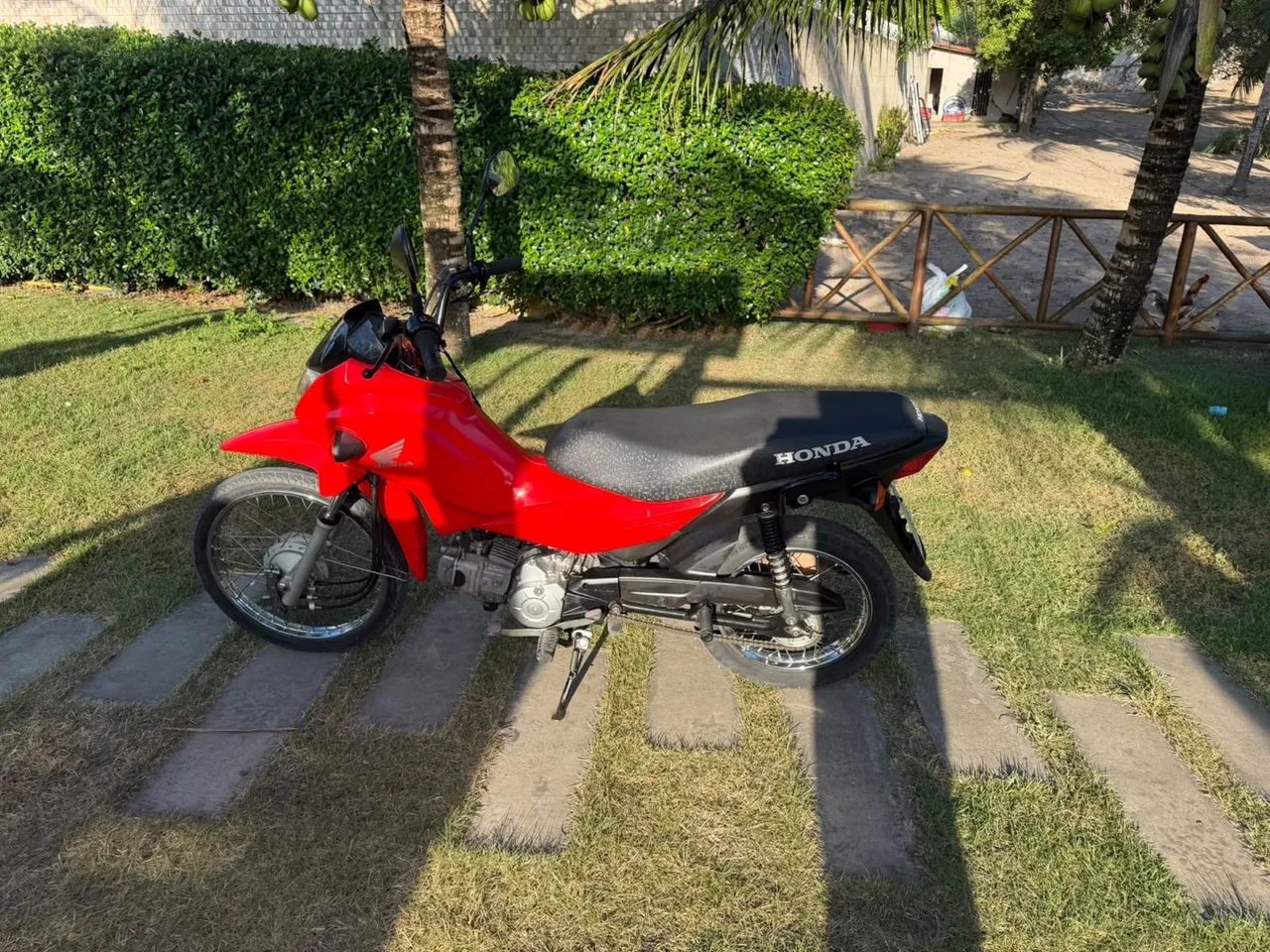 POP 2022 - Foto 2