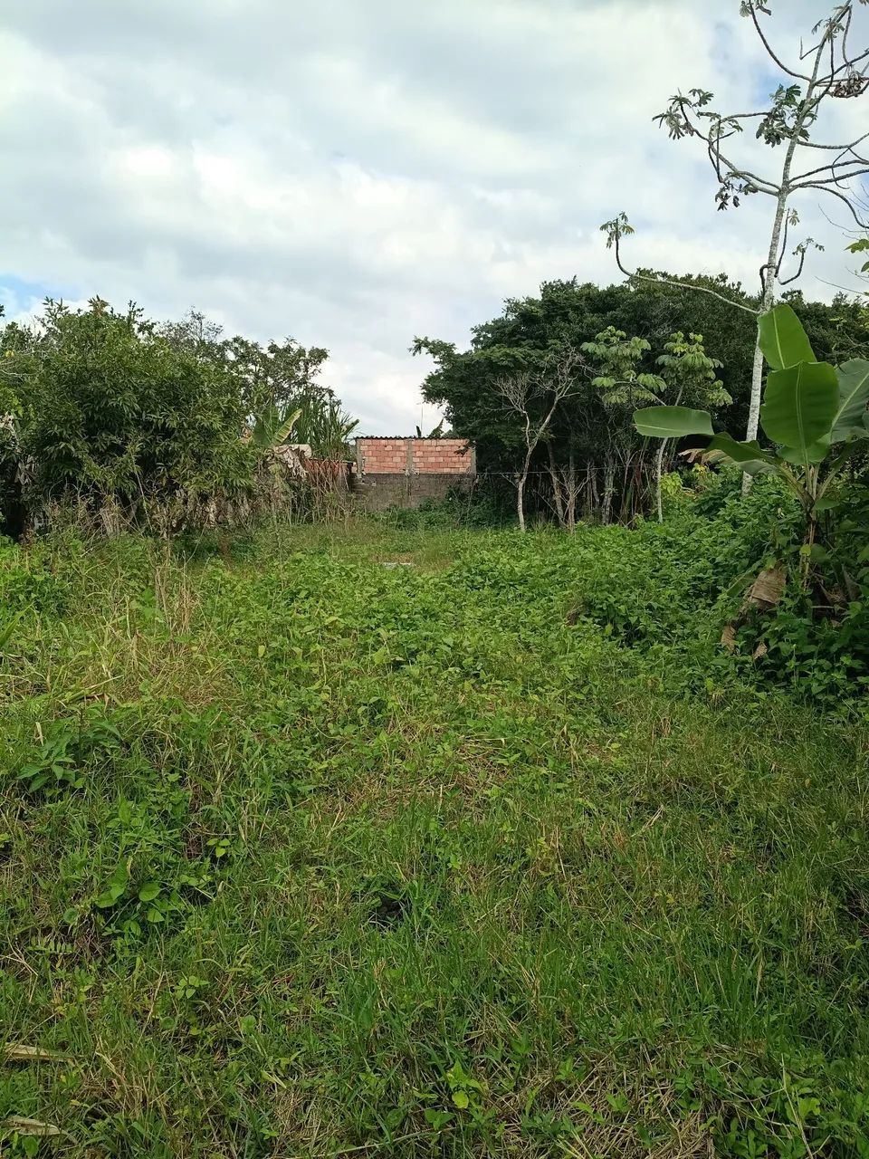 Terreno 12 por 50 - Foto 3